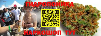 гидра Дубна